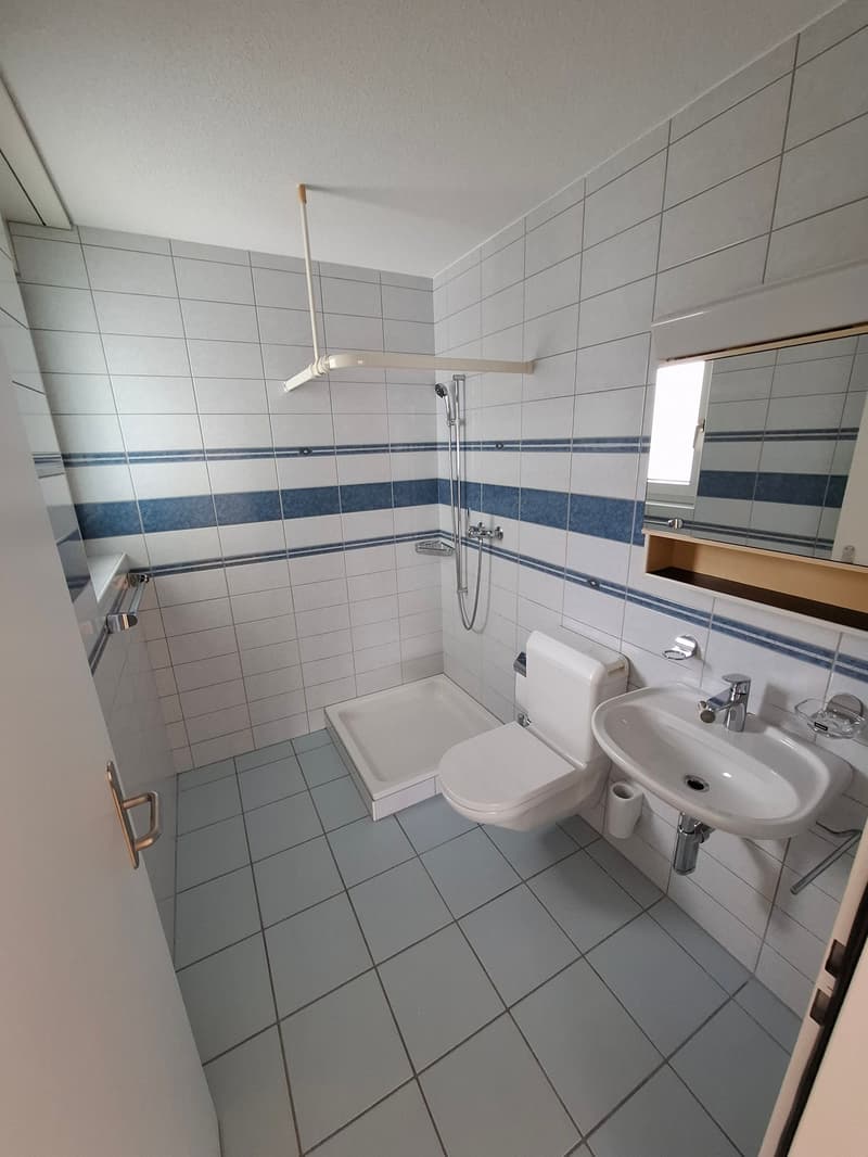 Tiled bathroom with white walls, blue and white tile pattern, shower with glass enclosure, toilet, and sink with vanity.