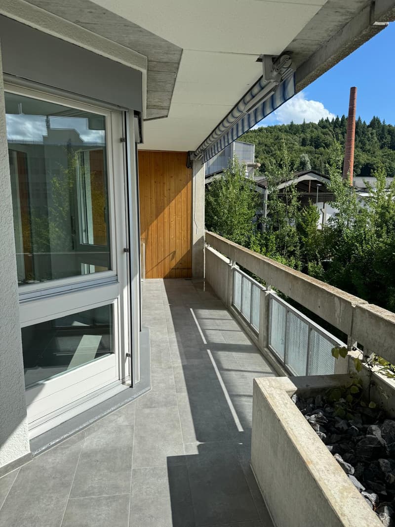 Neu renovierte 3.5-Zimmer-Wohnung mit Tiefgaragenplatz in Brugg (14)