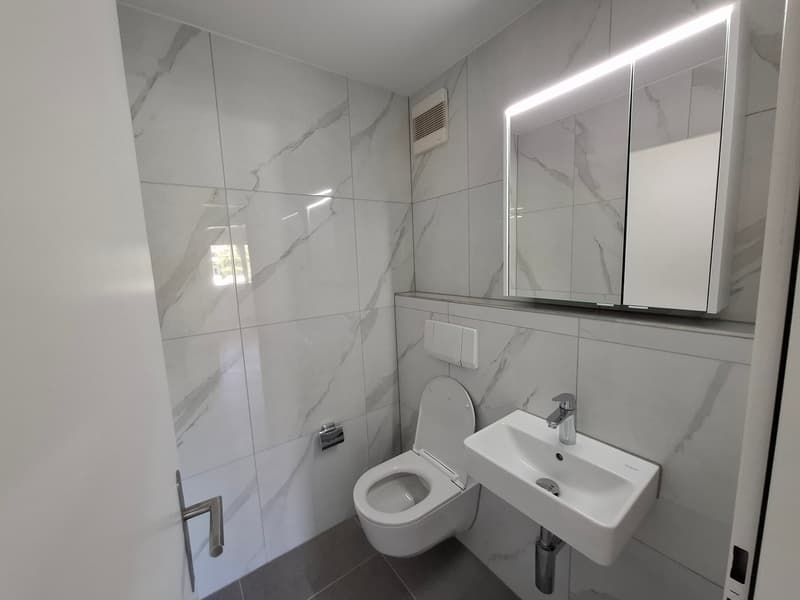 Neu renovierte 3.5-Zimmer-Wohnung mit Tiefgaragenplatz in Brugg (8)