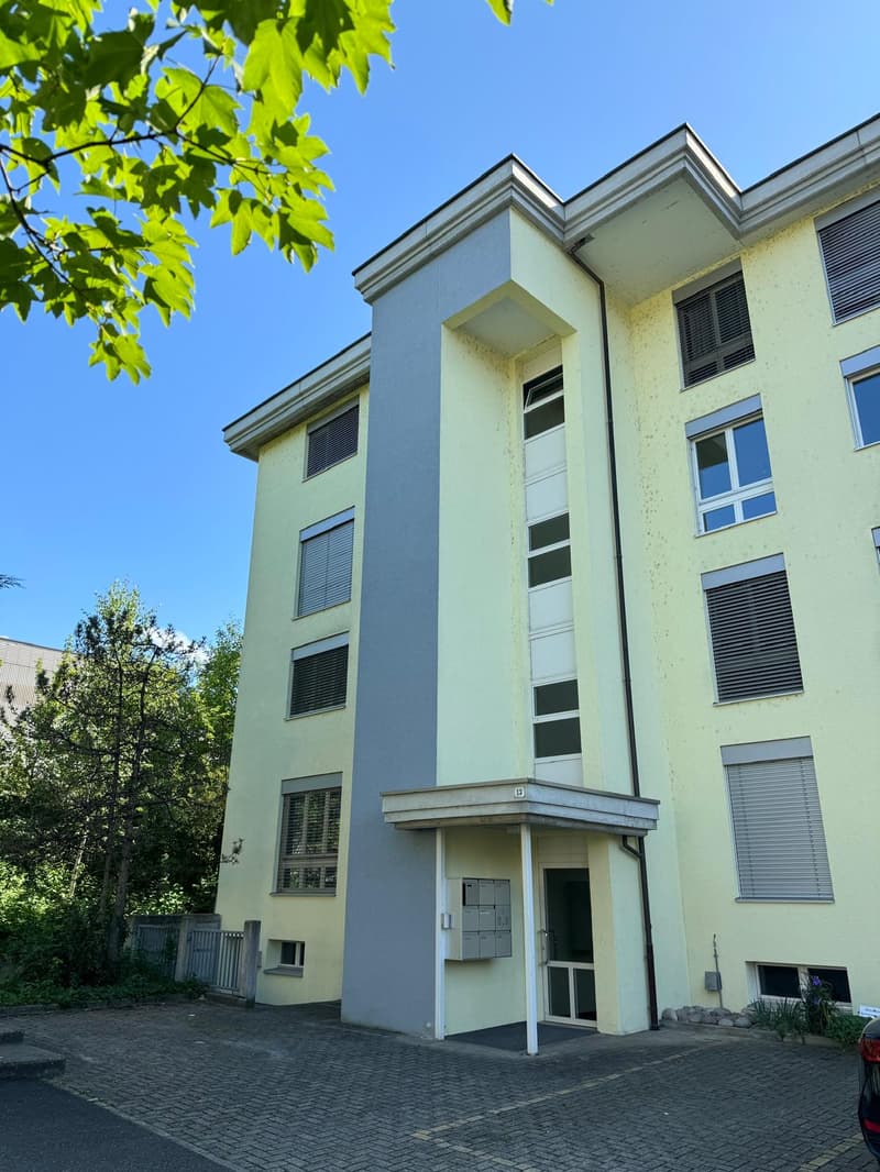 Neu renovierte 3.5-Zimmer-Wohnung mit Tiefgaragenplatz in Brugg (7)
