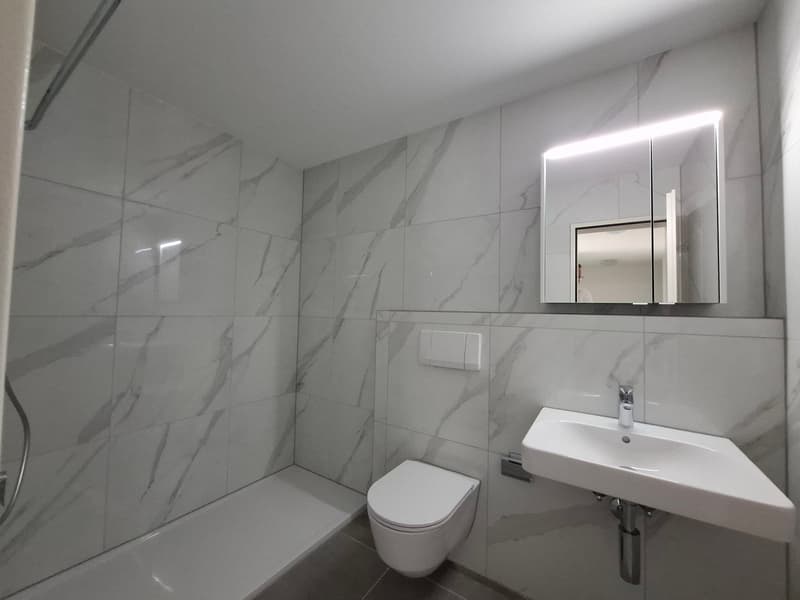 Neu renovierte 3.5-Zimmer-Wohnung mit Tiefgaragenplatz in Brugg (9)