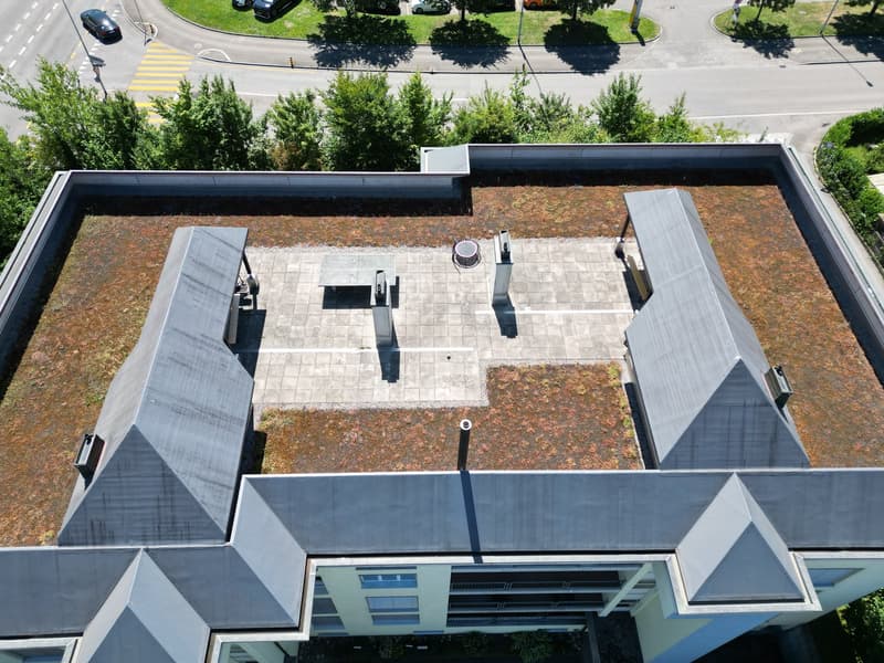 Neu renovierte 3.5-Zimmer-Wohnung mit Tiefgaragenplatz in Brugg (4)