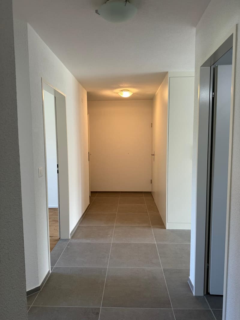 Neu renovierte 3.5-Zimmer-Wohnung mit Tiefgaragenplatz in Brugg (16)