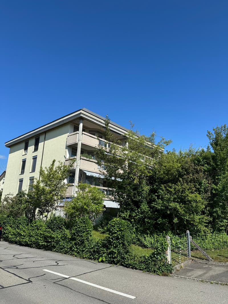 Neu renovierte 3.5-Zimmer-Wohnung mit Tiefgaragenplatz in Brugg (6)