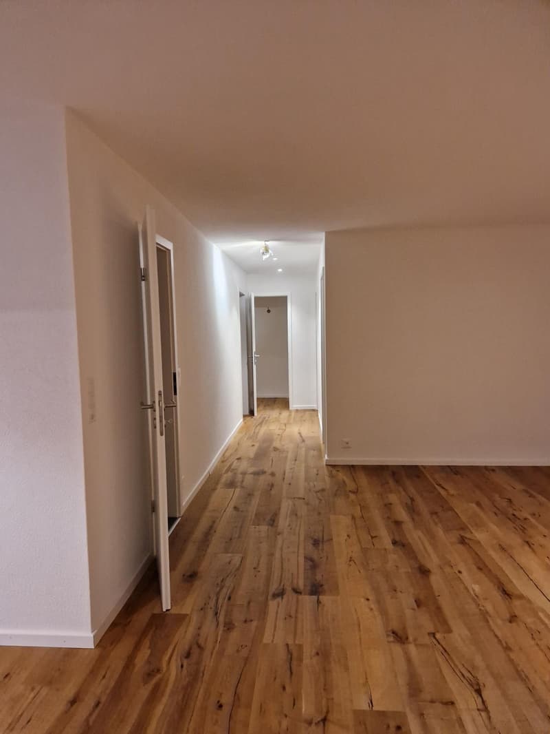 Hardwood floors, white walls, 2 doors, hallway leading to rooms