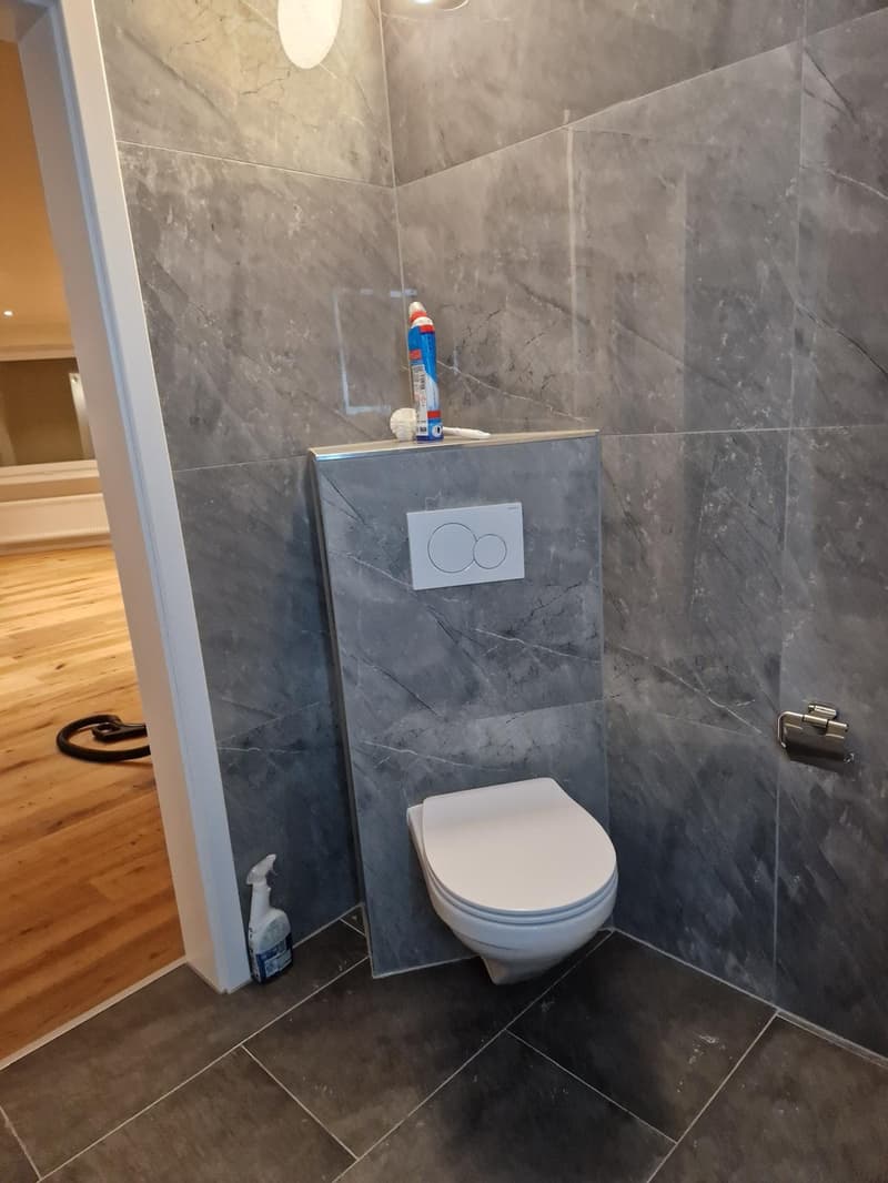 Toilet, modern wall design, tiles, toilet paper holder, bottle of cleaning product