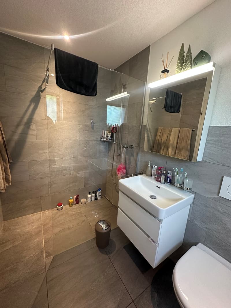 Modernes 5.5-Zimmer-Reihenhaus in Oberentfelden (5)