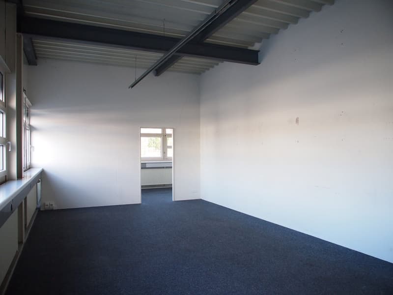 empty room, white walls, blue carpet, windows, radiators, doorway to adjacent room with window and radiator