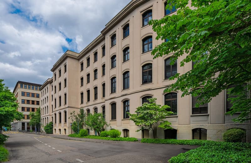 Multiple story building, concrete facade, large windows, surrounded by trees and bushes, street with crosswalk
