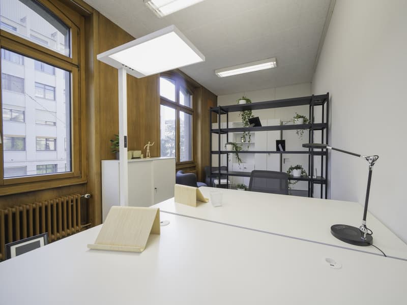 Modern desk with a book and cup, a shelf with plants, two lamps, a radiator, and chairs.