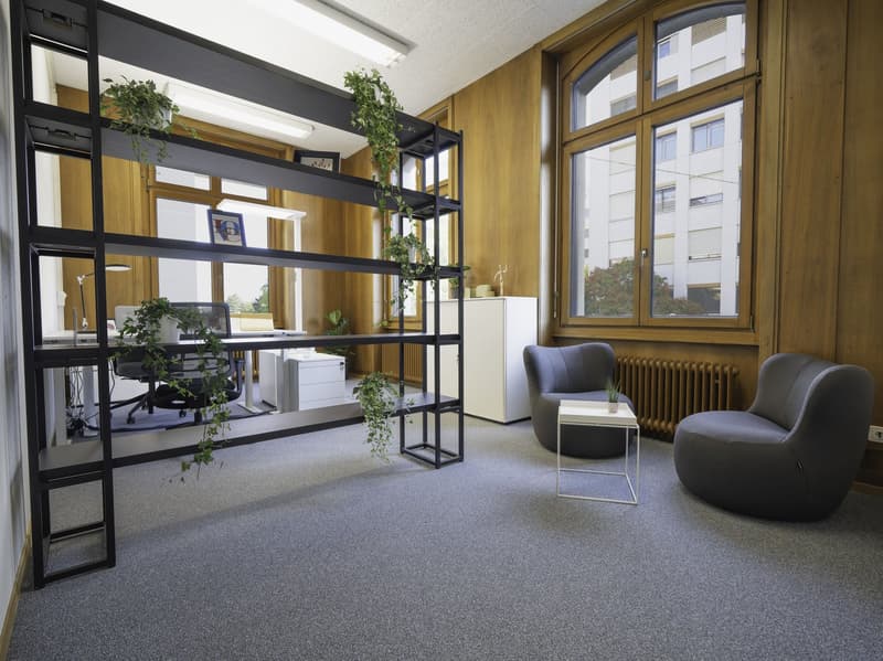 modern office space with wooden paneling, large windows, indoor plants, gray chairs, white desk, radiator, white cabinet