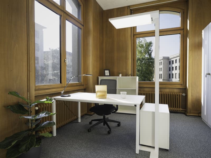 minimalistic design, white desk, ergonomic chair, desk lamp, large windows, indoor plant, radiator, wooden panels