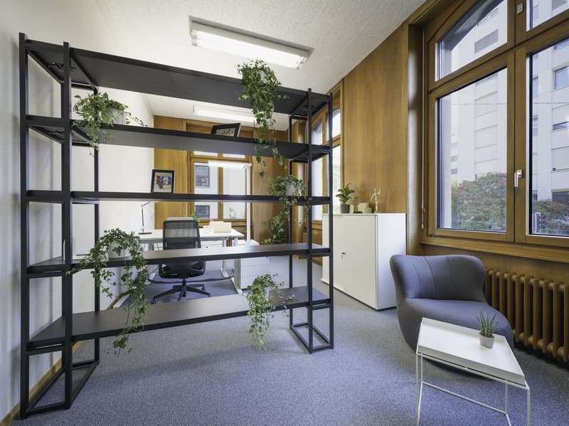 office room with desk, shelves, plants, radiators, windows, picture frames, table, chair