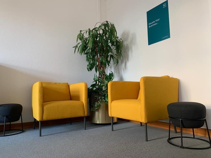 Room with 2 yellow chairs, a round stool, a large potted plant, and a blue poster on the wall.
