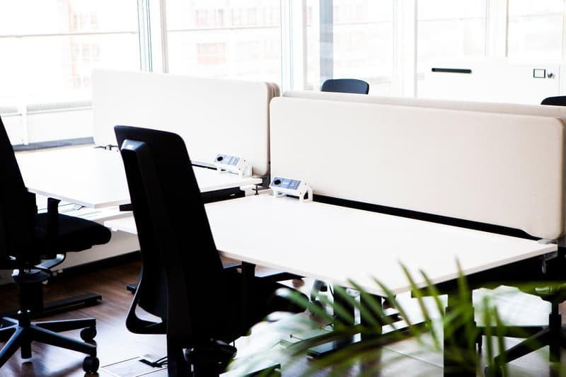 modern office cubicles, white desks, black chairs, glass windows, green plant