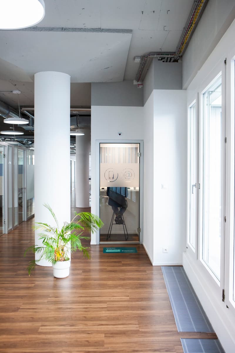 wooden floor, glass walls, modern lighting, a plant, carpeted floor