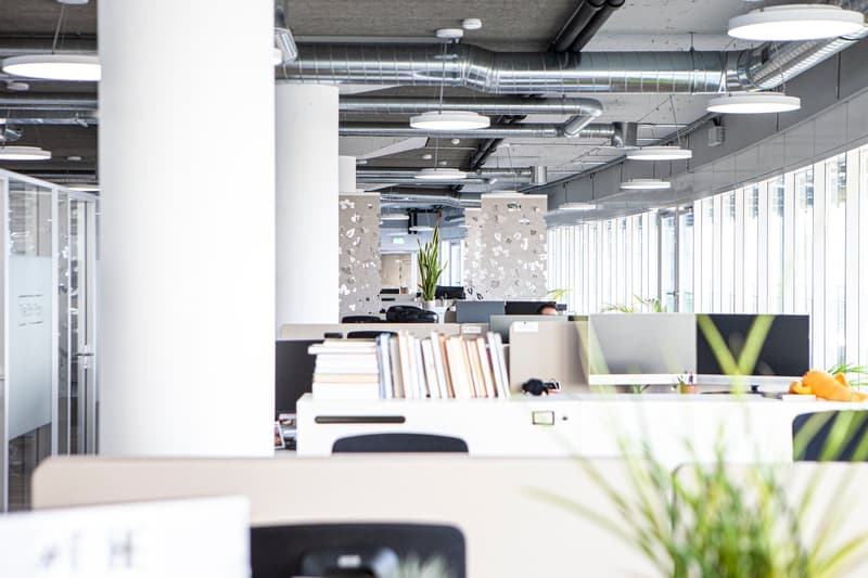open office layout, monitors, stacks of books, desk, plants, overhead lighting, long windows