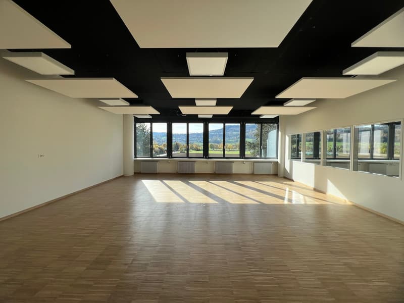 Moderne Büro- und Gewerbeflächen - zwischen 100 m² und 750 m² im P201 in Aesch BL (12)