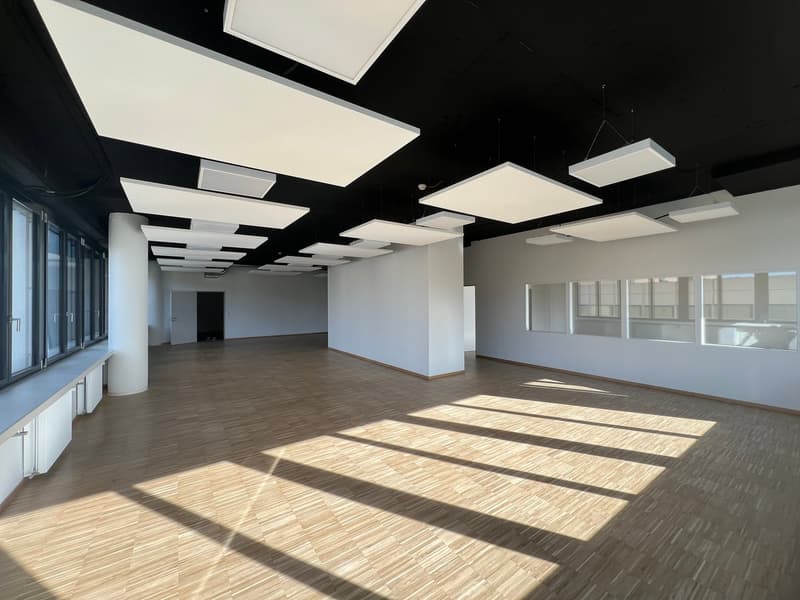 Moderne Büro- und Gewerbeflächen - 750 m² im P201 in Aesch BL (11)