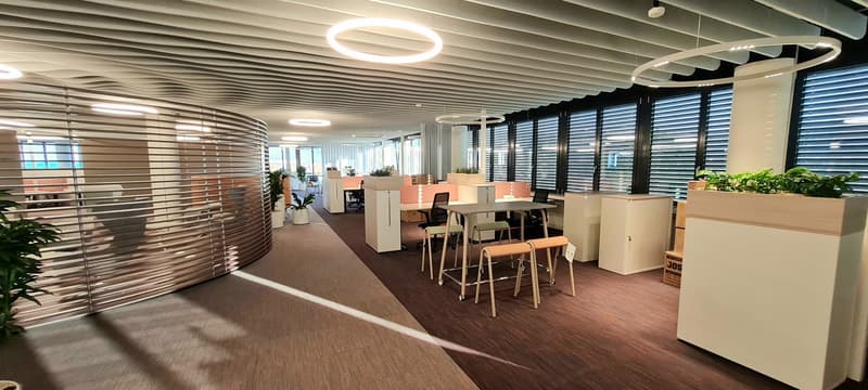 Moderne Büro- und Gewerbeflächen - 750 m² im P201 in Aesch BL (9)