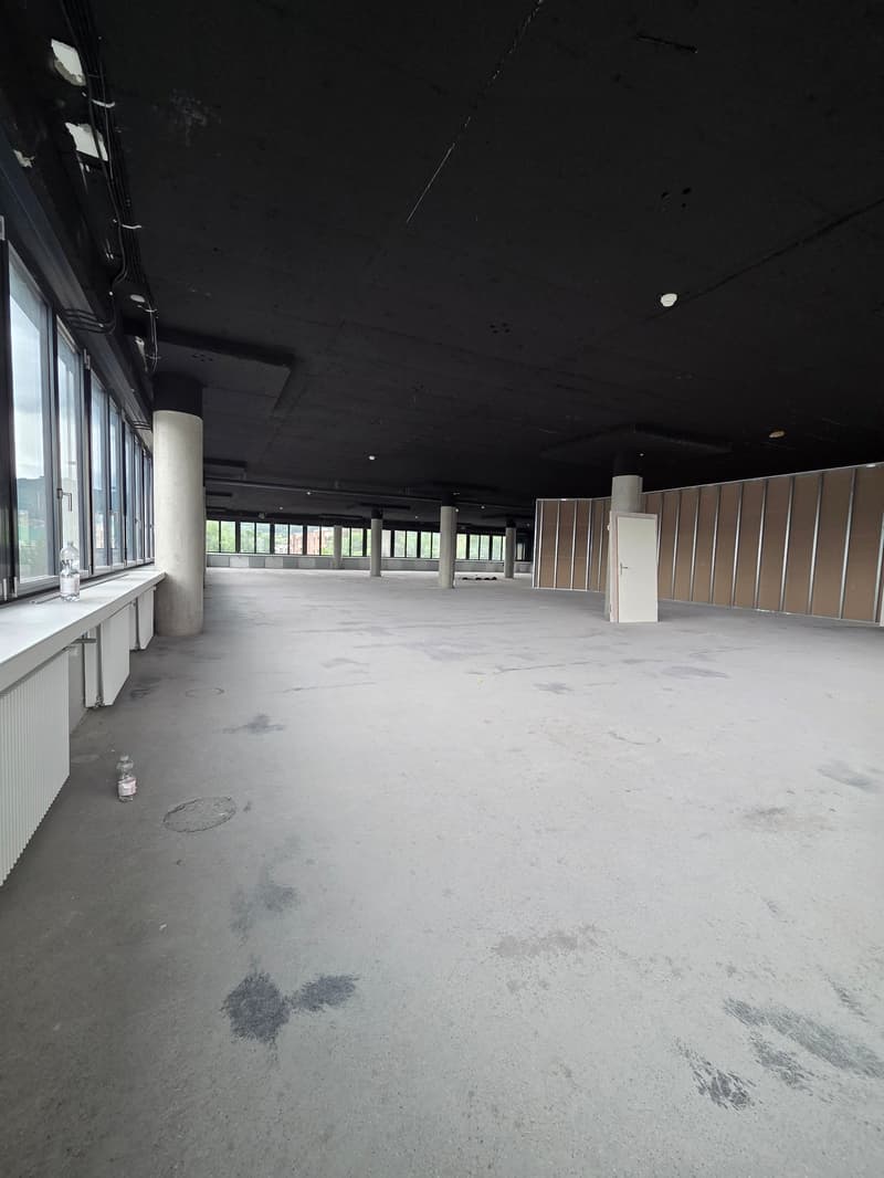 Moderne Büro- und Gewerbeflächen - 250 m² im P201 in Aesch BL (5)