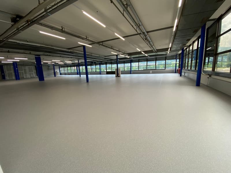 Helle Gewerbefläche für Logistik, Produktion und Ausstellung im P201 in Aesch (4)