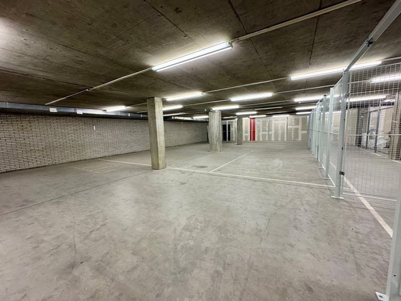 Lager im P201 in Aesch - 350 m² (7)