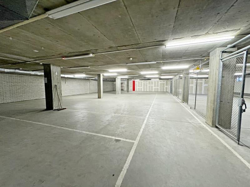 Lager im P201 in Aesch - 350 m² (9)