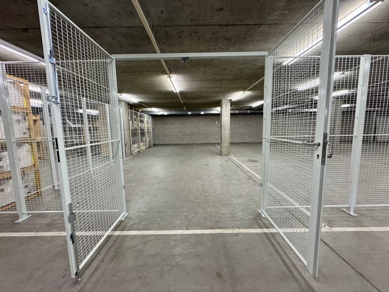 Lager im P201 in Aesch - 100 m² (6)