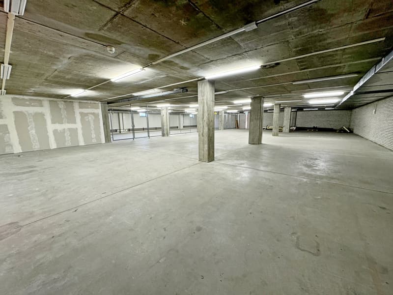 Lager im P201 in Aesch - 100 m² (8)