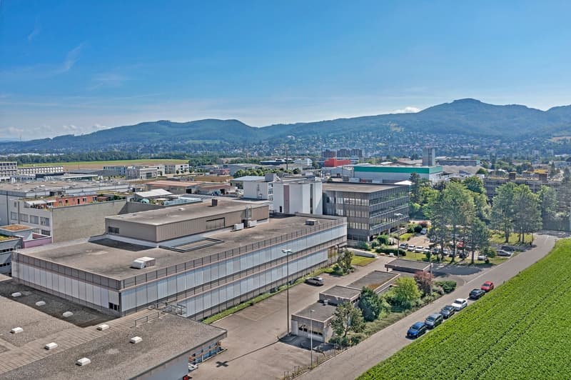 Gewerbefläche - 165 m² im P201 in Aesch (2)