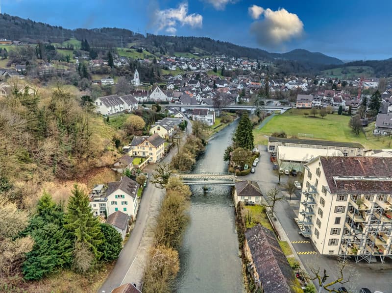 Town with buildings, houses, green trees, and a river.