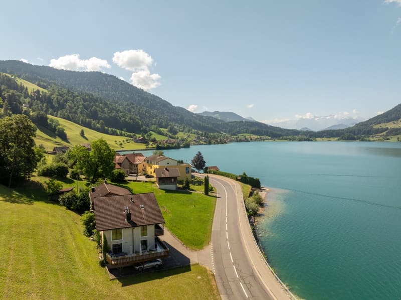 Ihr Logenplatz über dem Ägerisee (6)