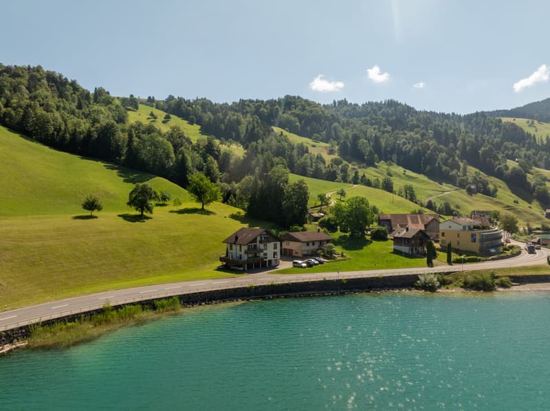 Ihr Logenplatz über dem Ägerisee (10)