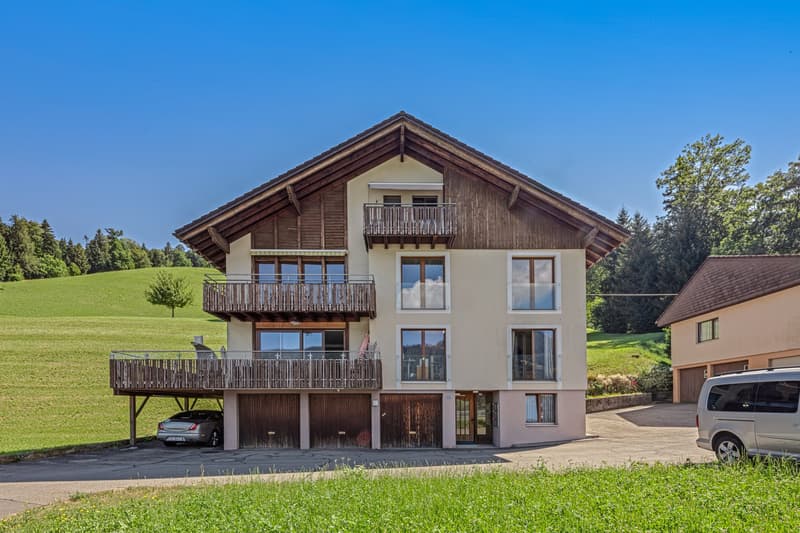 Ihr Logenplatz über dem Ägerisee (5)