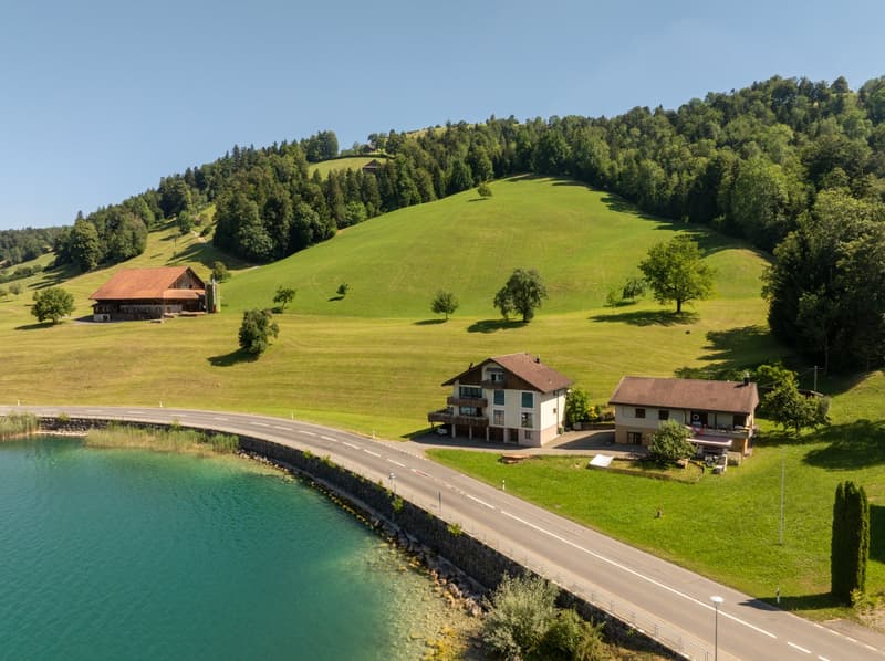 Ihr Logenplatz über dem Ägerisee (11)
