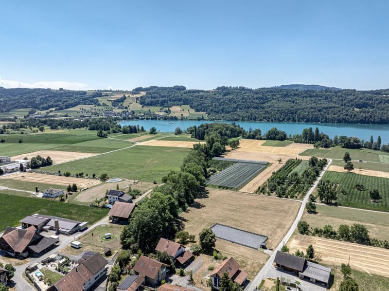 Ihr neues Zuhause – Grosszügig, stilvoll und sonnig (7)