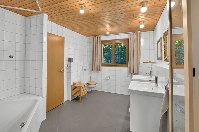 Ihr neues Zuhause – Grosszügig, stilvoll und sonnig (5)