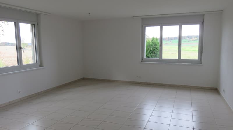 Moderne, lichtdurchflutete Wohlfühloase mit Garten & Cheminée an begehrter Lage in Winterthur (21)