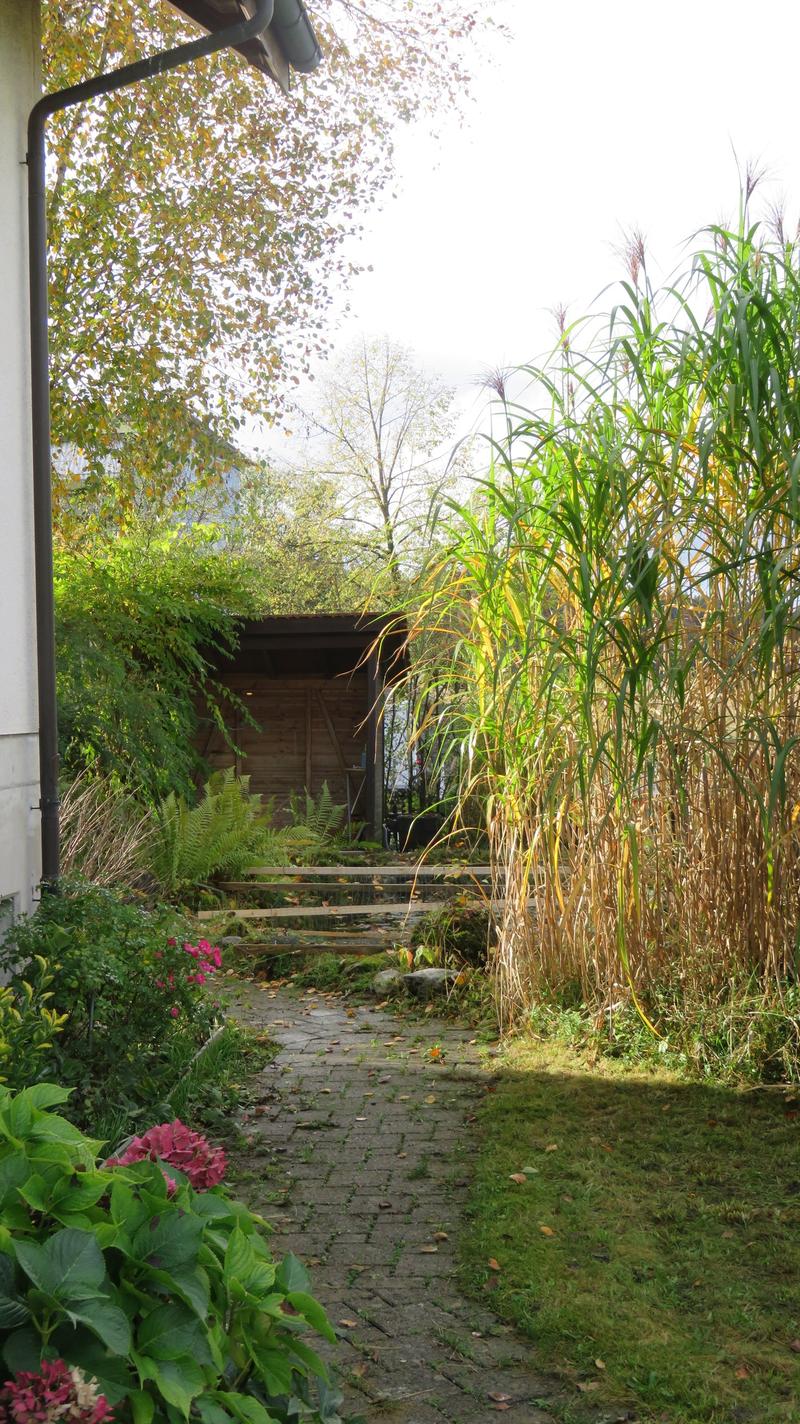 Moderne, lichtdurchflutete Wohlfühloase mit Garten & Cheminée an begehrter Lage in Winterthur (10)
