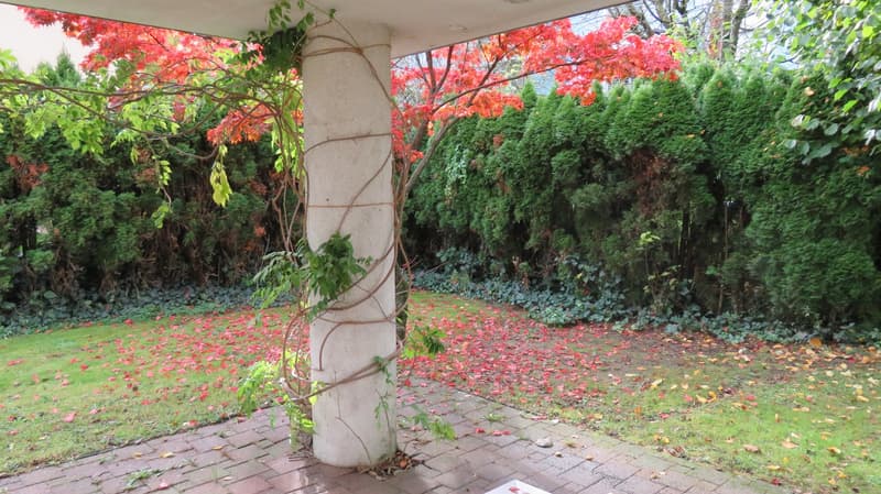 Moderne, lichtdurchflutete Wohlfühloase mit Garten & Cheminée an begehrter Lage in Winterthur (27)