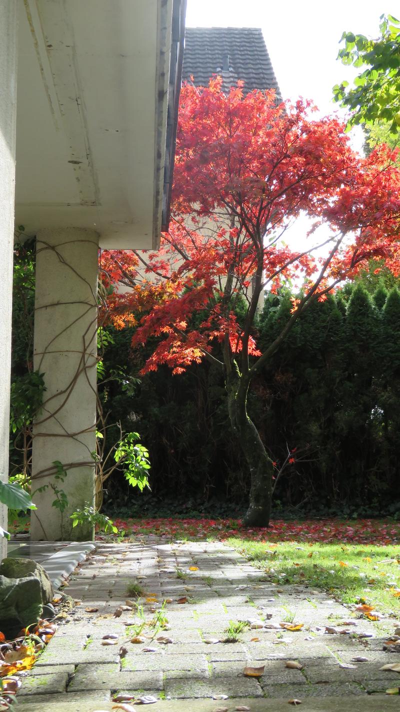 Moderne, lichtdurchflutete Wohlfühloase mit Garten & Cheminée an begehrter Lage in Winterthur (6)
