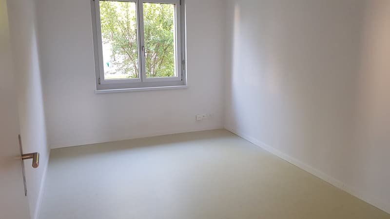 Moderne, lichtdurchflutete Wohlfühloase mit Garten & Cheminée an begehrter Lage in Winterthur (5)