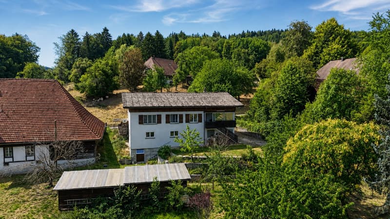 Ländlicher Wohntraum mit viel Privatsphäre in Gontenschwil (10)