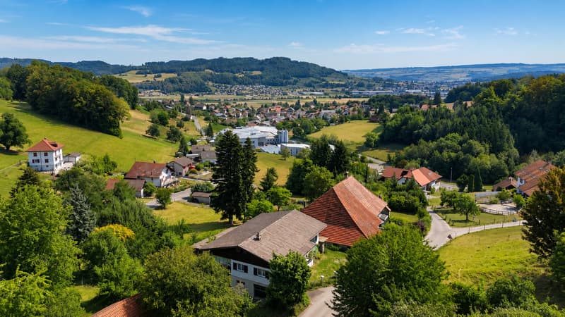 Ländlicher Wohntraum mit viel Privatsphäre in Gontenschwil (3)