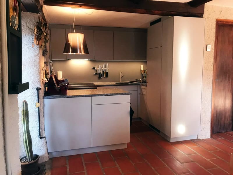 modern kitchen with gray cabinets, marble countertop, stainless steel sink, faucet, hanging lamp, dishwasher, washing machine, cactus plant, tiled floor