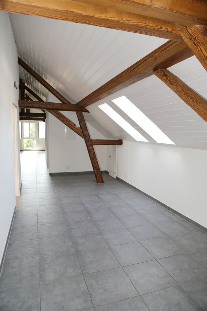 Grosse, charmante Dachwohnung mit Balkon und Aussicht (5)