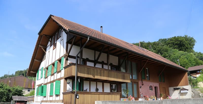 Grosse, charmante Dachwohnung mit Balkon und Aussicht (1)