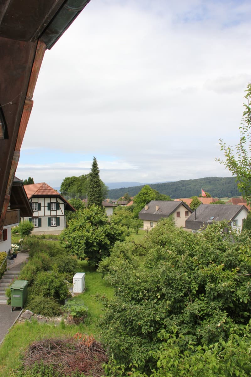Wo Charme zuhause ist – Spycherflair mit idyllischem Garten (10)