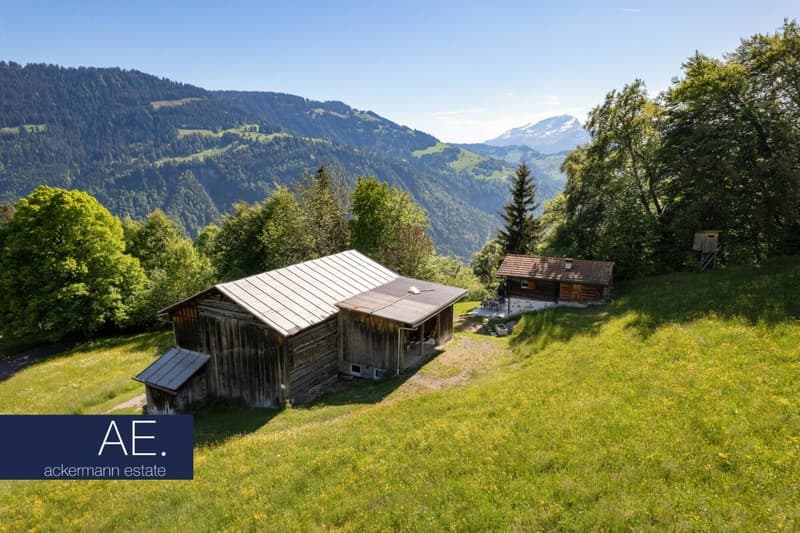 Maiensäss inmitten weiter Bergwiesen (4)